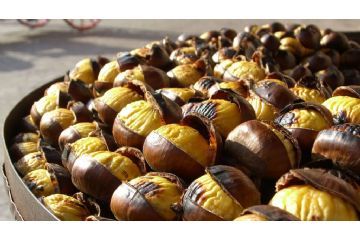 castagne